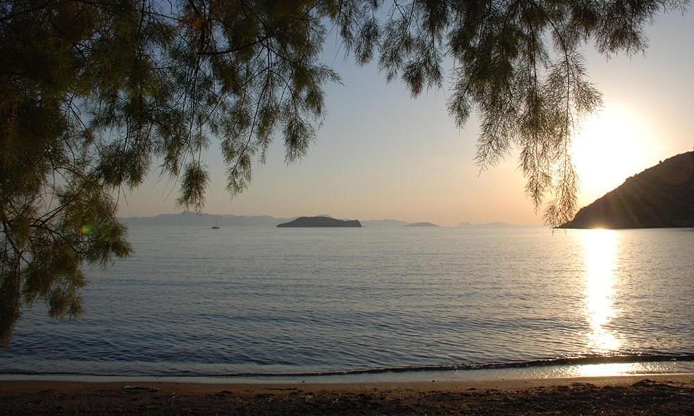 Arriba Pension & Restaurant Gümüşlük Zewnętrze zdjęcie