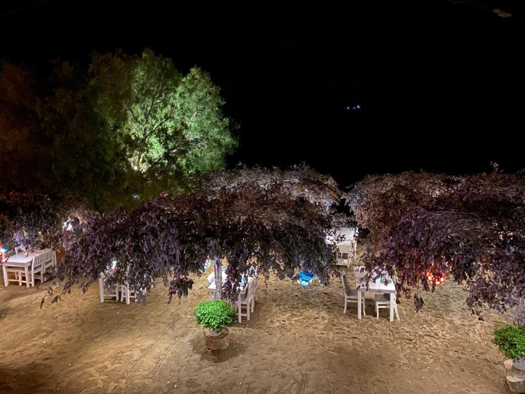 Arriba Pension & Restaurant Gümüşlük Zewnętrze zdjęcie