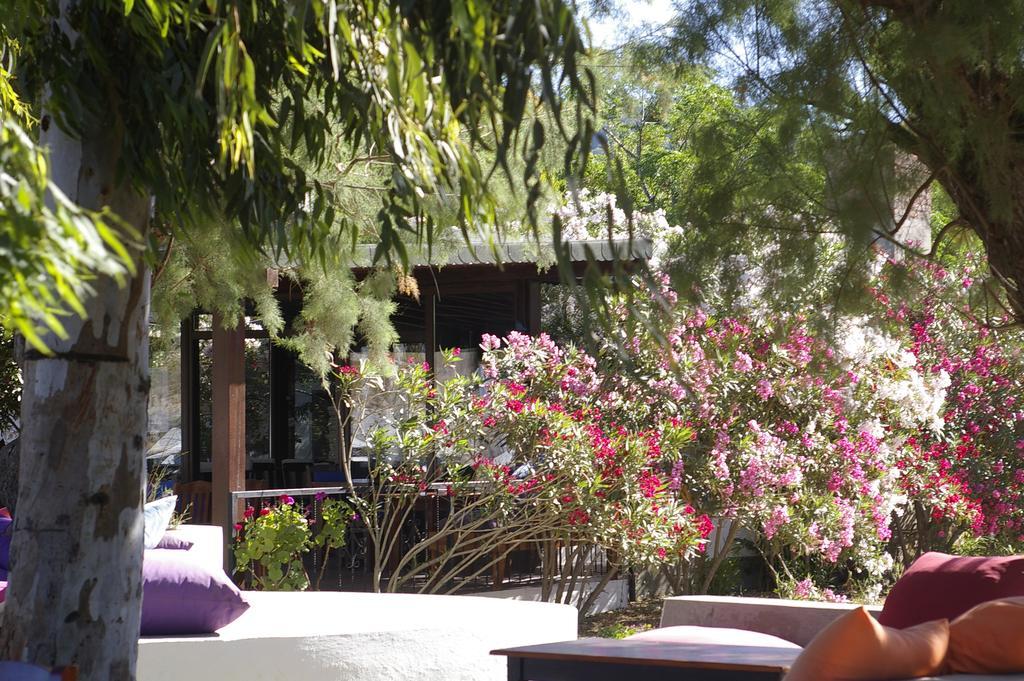 Arriba Pension & Restaurant Gümüşlük Zewnętrze zdjęcie