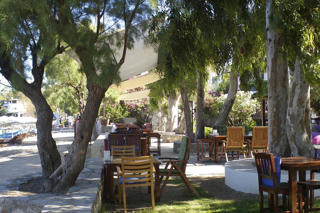 Arriba Pension & Restaurant Gümüşlük Zewnętrze zdjęcie