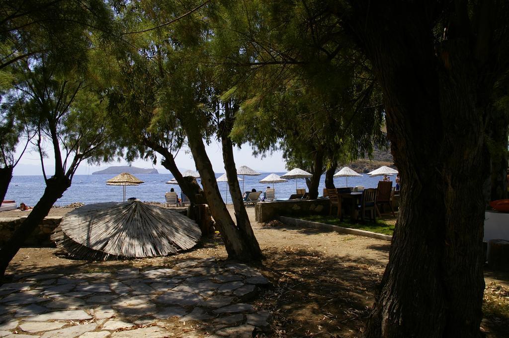Arriba Pension & Restaurant Gümüşlük Zewnętrze zdjęcie